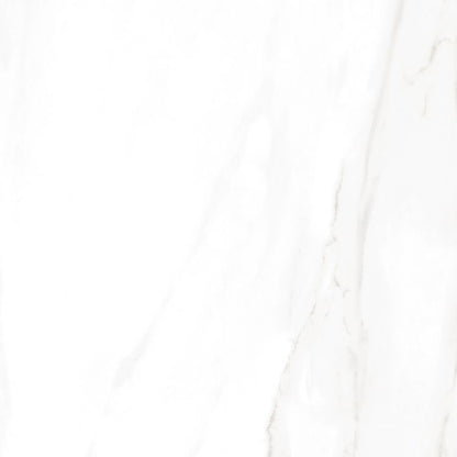 EC Calacatta Gold Polished 24 x 24