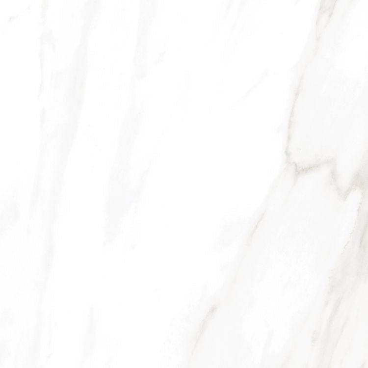 EC Calacatta Gold Polished 24 x 24