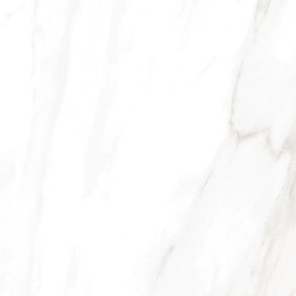 EC Calacatta Gold Polished 24 x 24
