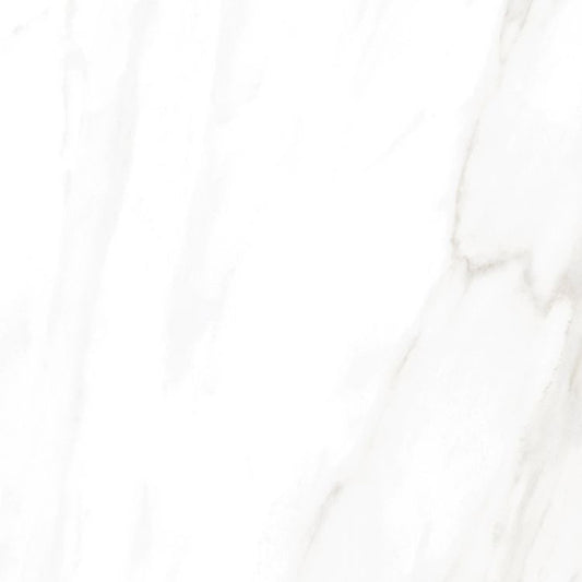 EC Calacatta Gold Polished 24 x 24