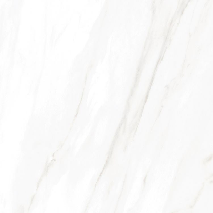 EC Calacatta Gold Polished 24 x 24