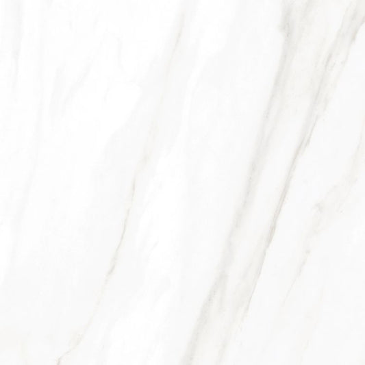 EC Calacatta Gold Matte 24 x 24