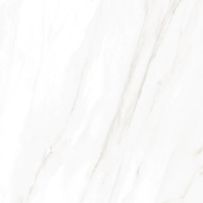 EC Calacatta Gold Matte 24 x 24