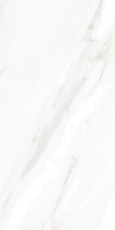 EC Calacatta Gold Polished 12 x 24