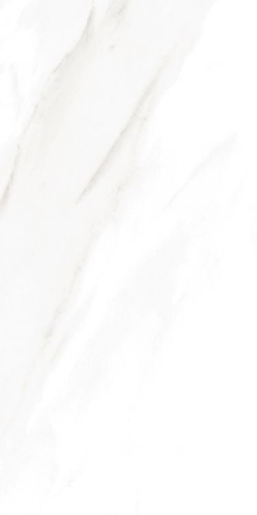 EC Calacatta Gold Polished 12 x 24