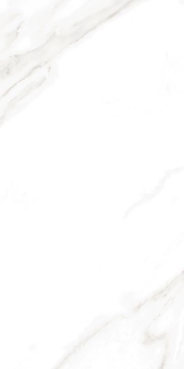 EC Calacatta Gold Polished 12 x 24