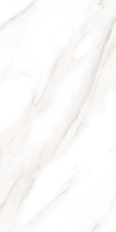 EC Calacatta Gold Polished 12 x 24