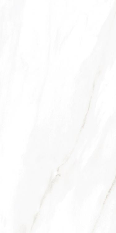 EC Calacatta Gold Polished 12 x 24