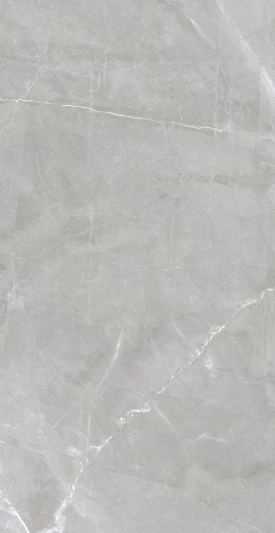 Luxury Amani Grey Polished 24 x 48
