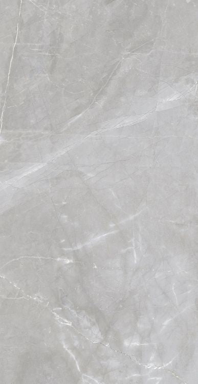 Luxury Amani Grey Polished 24 x 48