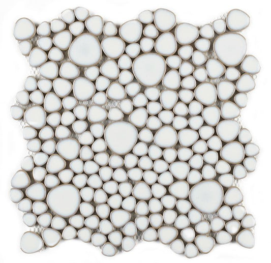Growing Fancy White 11.5 x 11.5