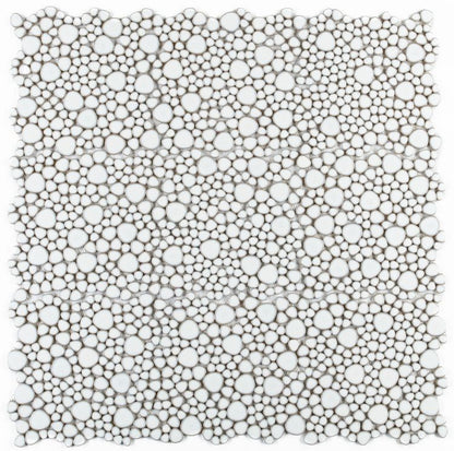 Growing Fancy White 11.5 x 11.5