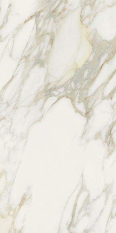 Etoile Creme Matte 24 x 48