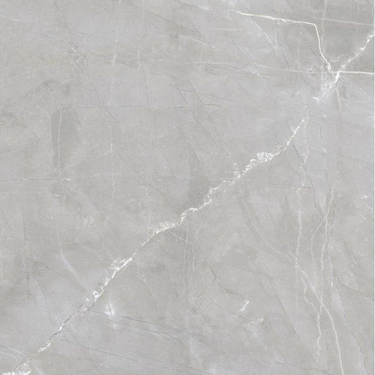 Luxury Amani Grey Matte 24 x 24