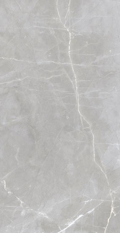 Luxury Amani Grey Matte 24 x 48