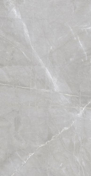 Luxury Amani Grey Matte 24 x 48