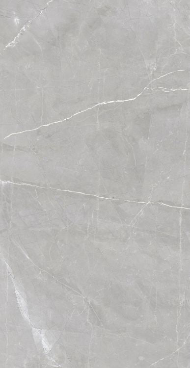 Luxury Amani Grey Matte 24 x 48