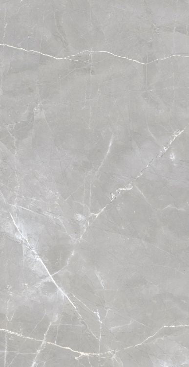 Luxury Amani Grey Matte 24 x 48