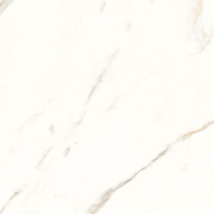 Trilogy Calacatta White Soft 24 x 24