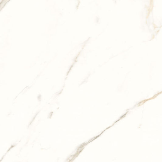 Trilogy Calacatta White Soft 24 x 24