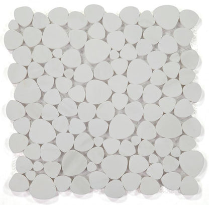 Aphrodite Dolomite Honed 12 x 12