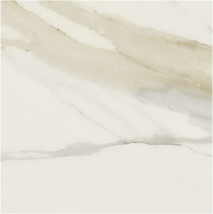 Classici Calacatta Gold Matte 48 x 48