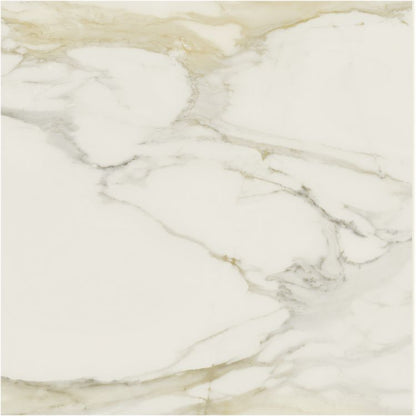 Classici Calacatta Gold Matte 48 x 48