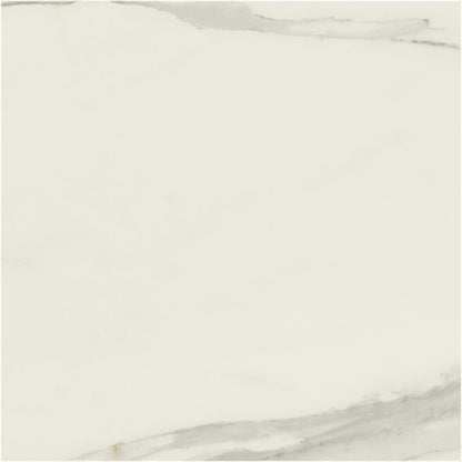 Classici Calacatta Gold Matte 48 x 48