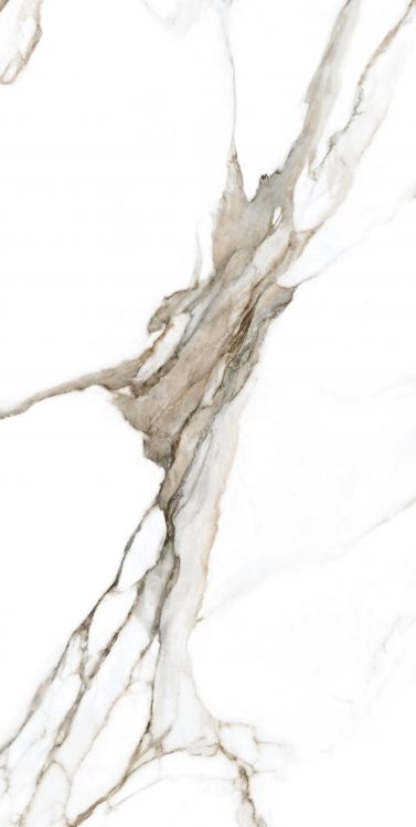 Calacatta Fantasy Topo Polished 24 x 48