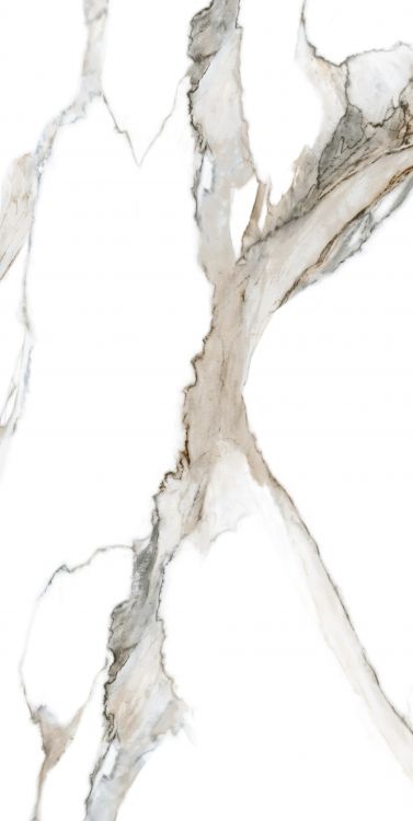 Calacatta Fantasy Topo Polished 24 x 48