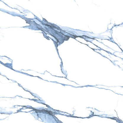 Calacatta Blue Polished 48 x 48