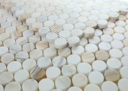 Penny Marble Calacatta Honed 11 x 11.75