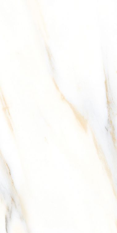 AGL Calacatta Gold Polished 12 x 24