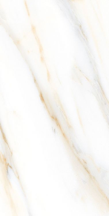 AGL Calacatta Gold Polished 12 x 24