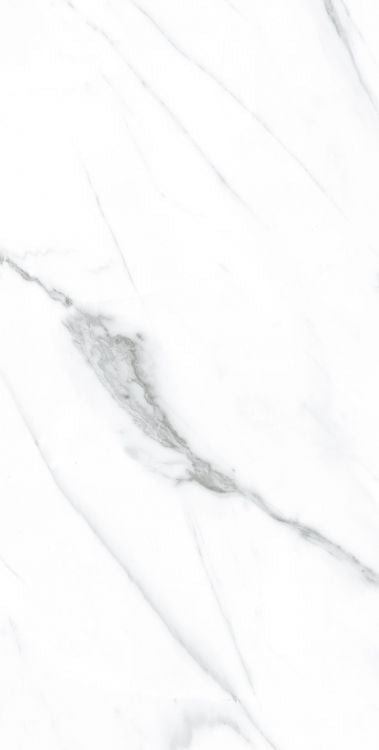 AGL Carrara Polished 12 x 24