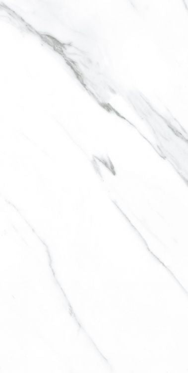 AGL Carrara Polished 12 x 24