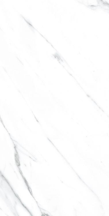 AGL Carrara Polished 12 x 24
