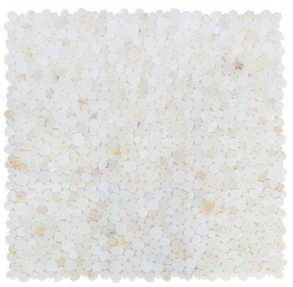 Aphrodite Onyx White Honed 12 x 12