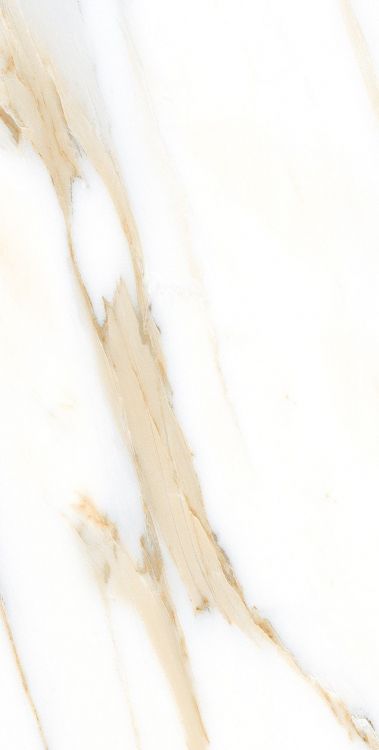 AGL Calacatta Gold Matte 12 x 24
