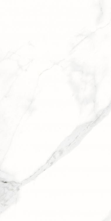 AGL Statuario Matte 12 x 24