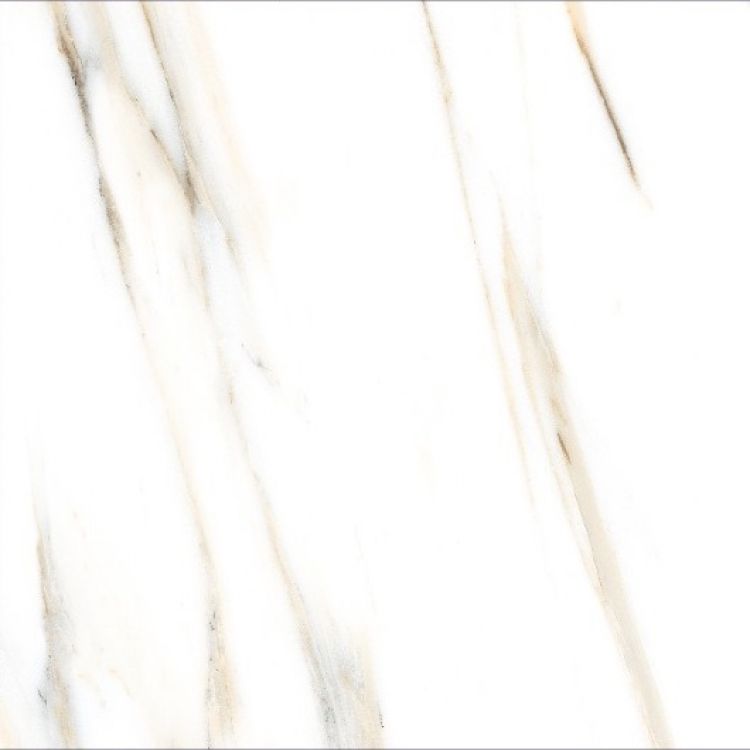 AGL Calacatta Gold Polished 24 x 24