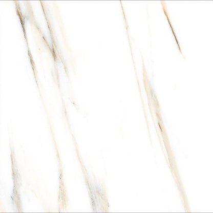 AGL Calacatta Gold Polished 24 x 24