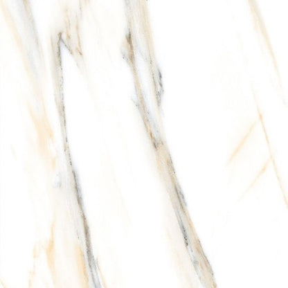 AGL Calacatta Gold Polished 24 x 24