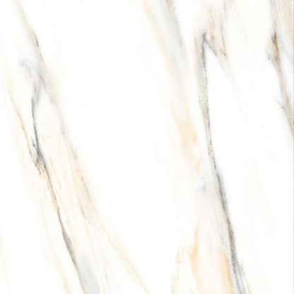 AGL Calacatta Gold Polished 24 x 24