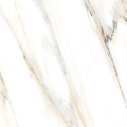 AGL Calacatta Gold Polished 24 x 24
