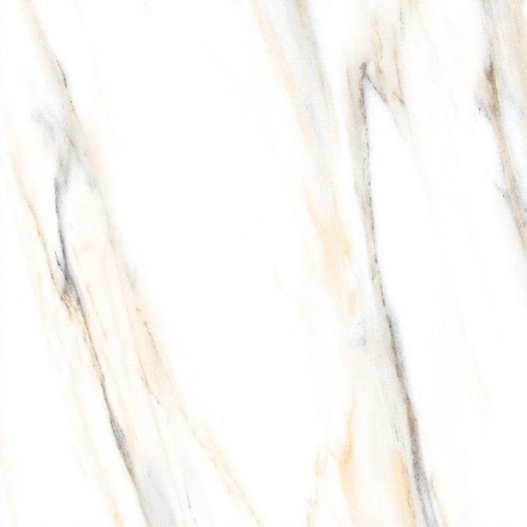 AGL Calacatta Gold Polished 24 x 24