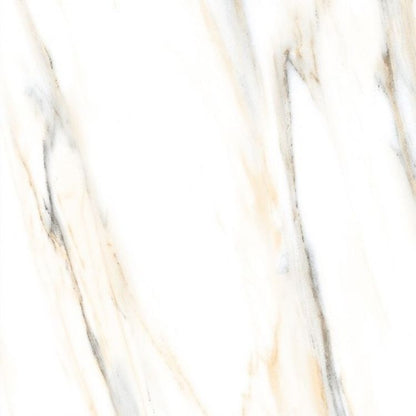 AGL Calacatta Gold Matte 24 x 24