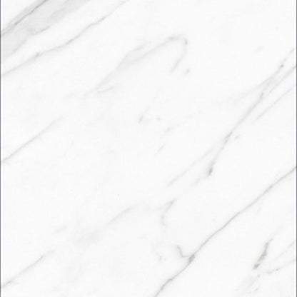 AGL Carrara Matte 24 x 24