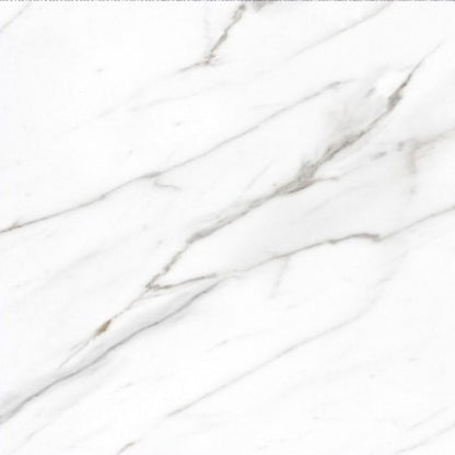 AGL Carrara Matte 24 x 24