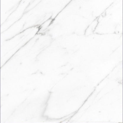 AGL Carrara Matte 24 x 24